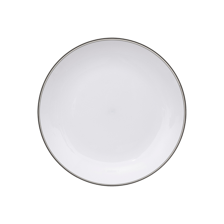 25cm Picnic Dinner Plate