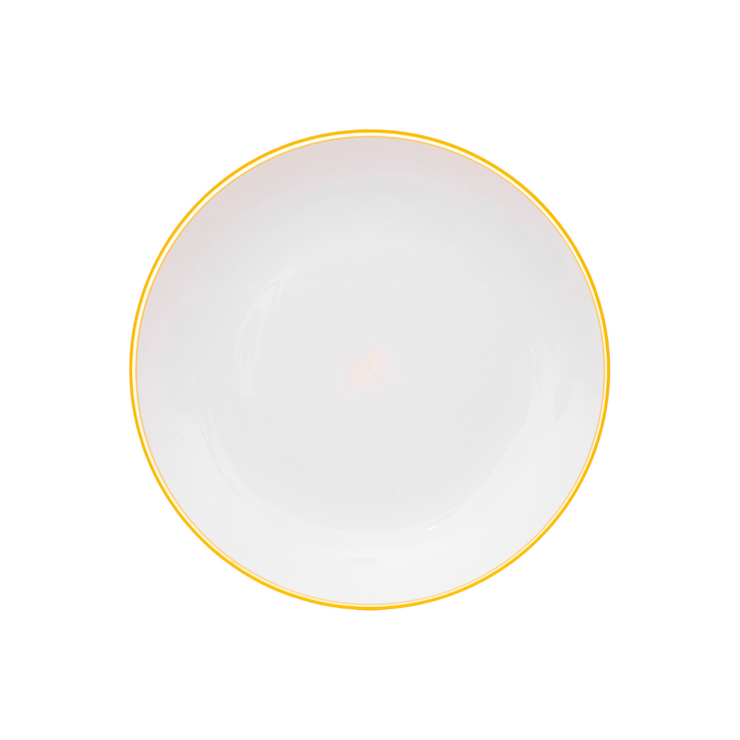 25cm Picnic Dinner Plate