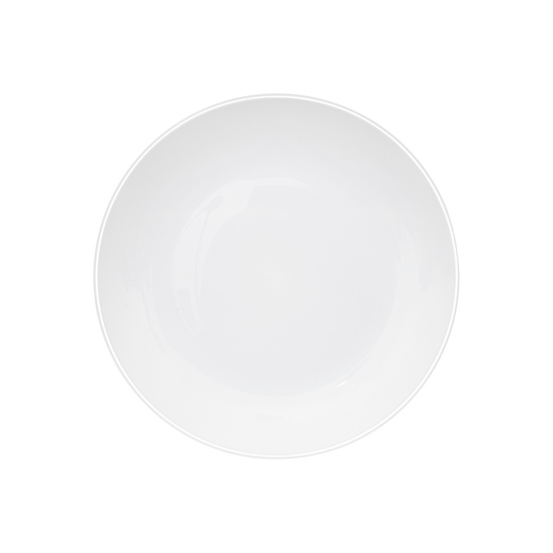 25cm Picnic Dinner Plate