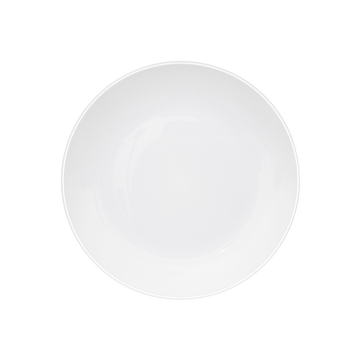 25cm Picnic Dinner Plate