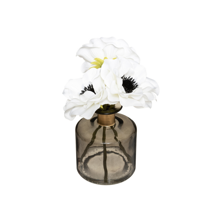 Anemone Stem & Glass Vase