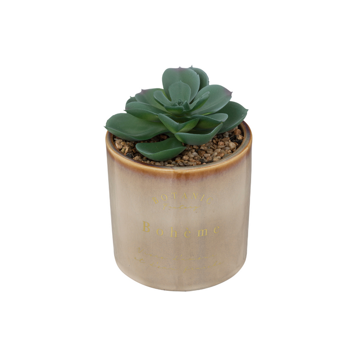 Ceramic Pot With Plants