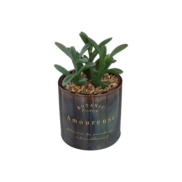 Ceramic Pot With Plants